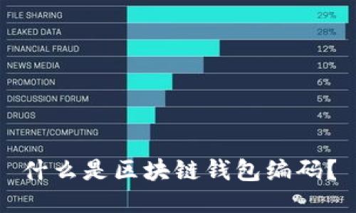 什么是区块链钱包编码？