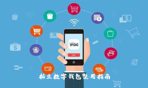 拍立数字钱包使用指南