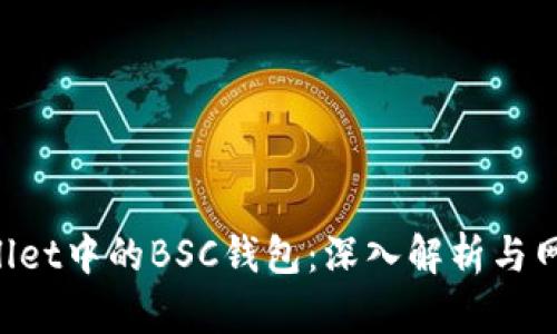 TP Wallet中的BSC钱包：深入解析与网络关系