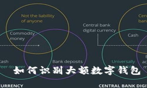  如何识别大额数字钱包
