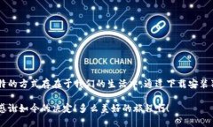 jiaotong狗狗币网址下载安装