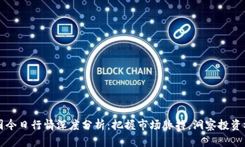 币圈今日行情深度分析：把握市场脉搏，洞察投资机会