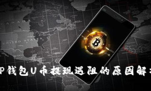TP钱包U币提现遇阻的原因解析
