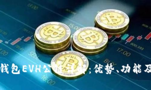 数字货币钱包EVH公链详解：优势、功能及应用解析