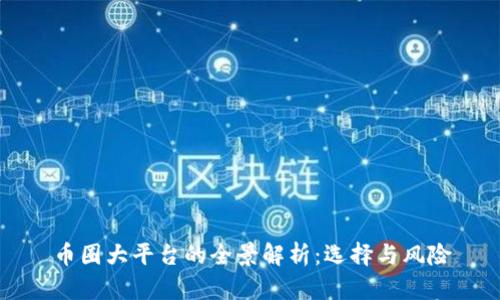 币圈大平台的全景解析：选择与风险