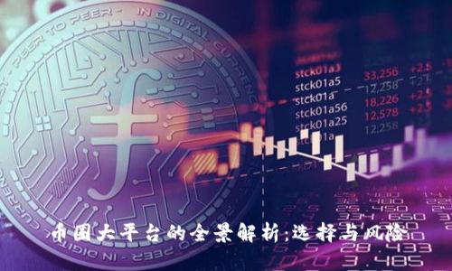 币圈大平台的全景解析：选择与风险