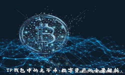   
TP钱包中的兔子币：数字资产的全景解析