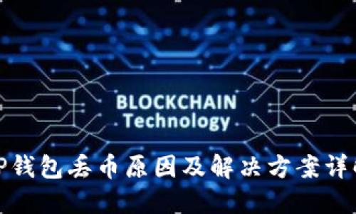 TP钱包丢币原因及解决方案详解