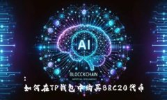 :如何在TP钱包中购买BRC2
