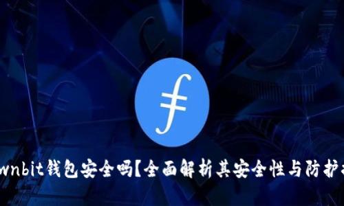 : Ownbit钱包安全吗？全面解析其安全性与防护措施