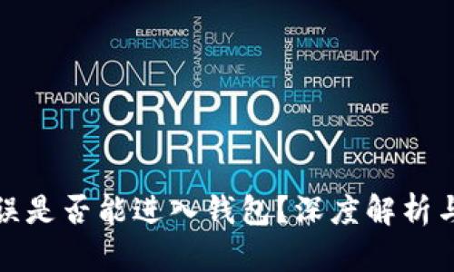 助记词错误是否能进入钱包？深度解析与解决方案